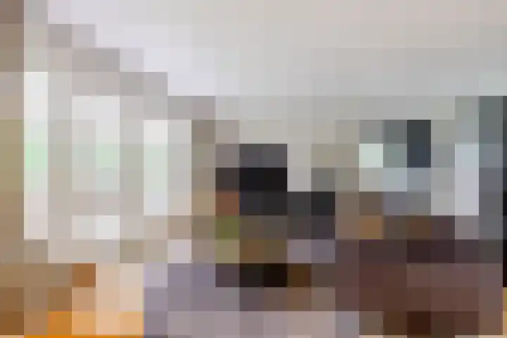 Uilenpad 47 Haaren thumbnail 6