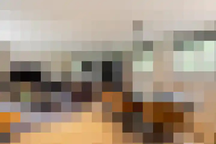 Uilenpad 47 Haaren thumbnail 8