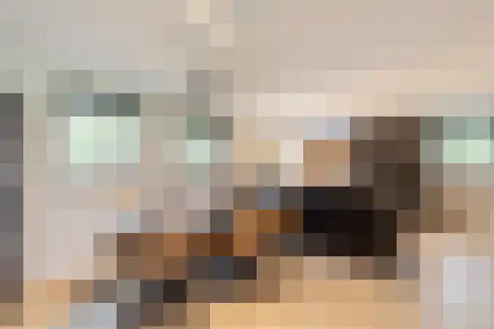 Uilenpad 47 Haaren thumbnail 9