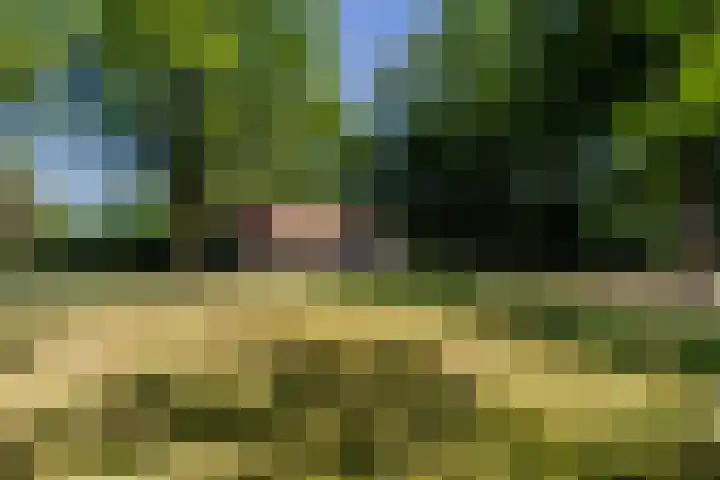 Uilenpad 5 dans Haaren