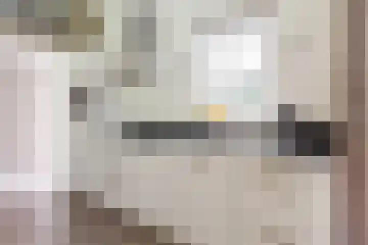 Uilenpad 5 Haaren thumbnail 11