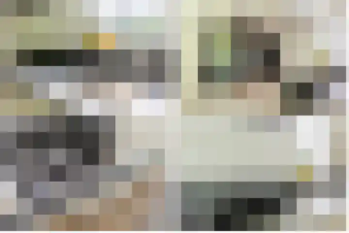 Uilenpad 5 Haaren thumbnail 12
