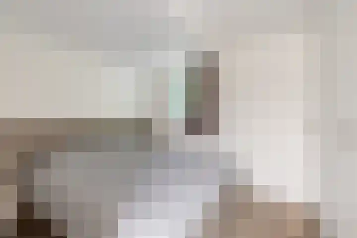 Uilenpad 5 Haaren thumbnail 15