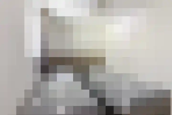 Uilenpad 5 Haaren thumbnail 16