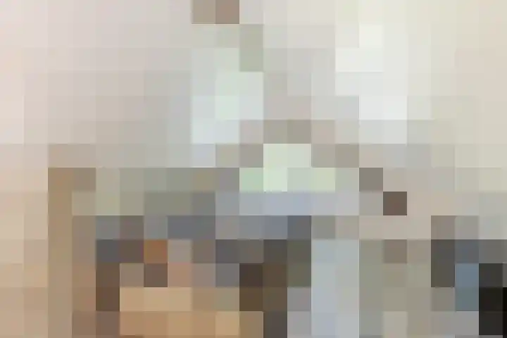 Uilenpad 5 Haaren thumbnail 18