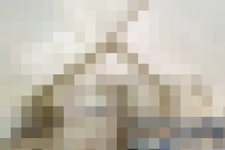 Uilenpad 5 Haaren thumbnail 19