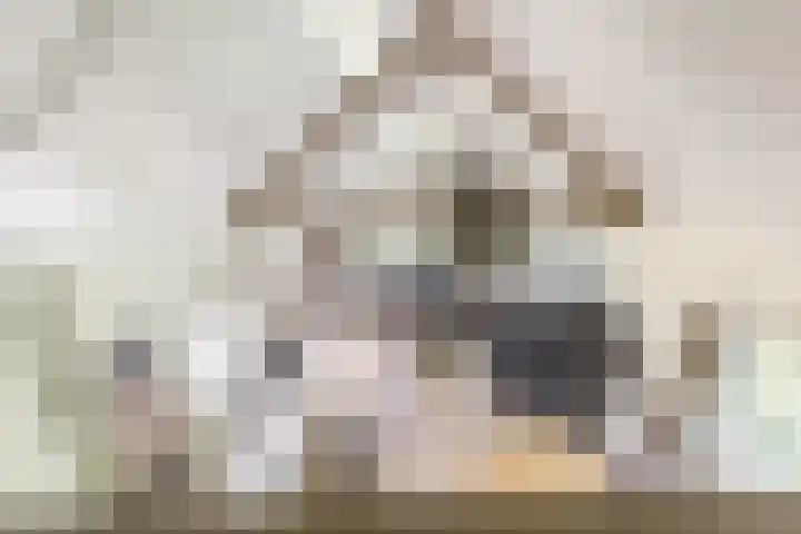 Uilenpad 5 Haaren thumbnail 20
