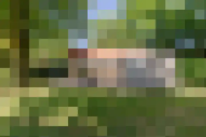 Uilenpad 5 Haaren thumbnail 22
