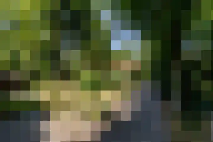 Uilenpad 5 Haaren thumbnail 23