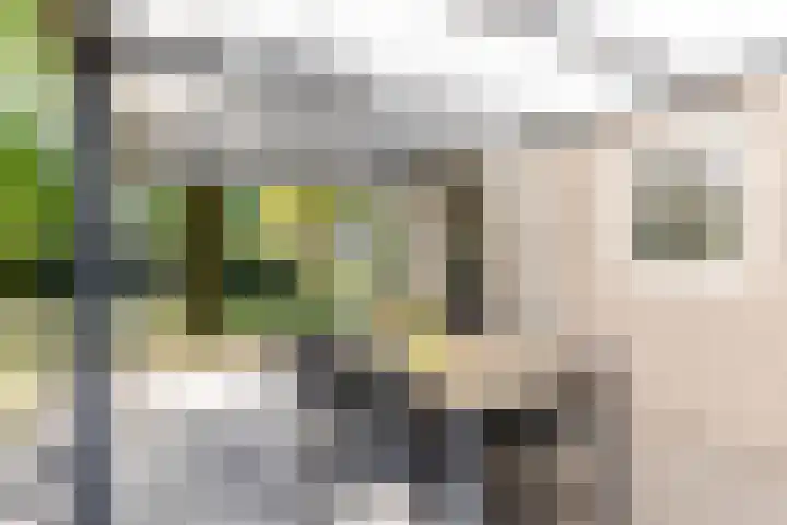 Uilenpad 5 Haaren thumbnail 24