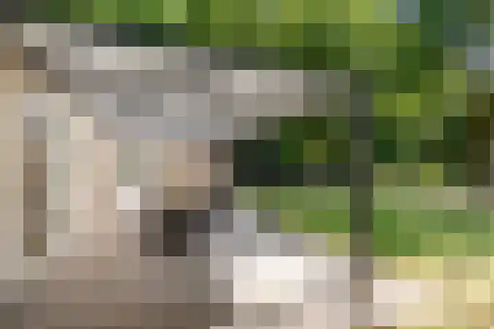 Uilenpad 5 Haaren thumbnail 26