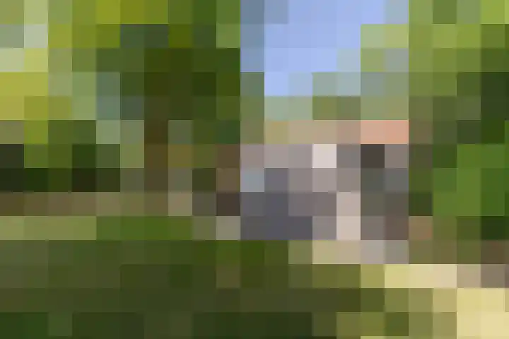 Uilenpad 5 Haaren thumbnail 27