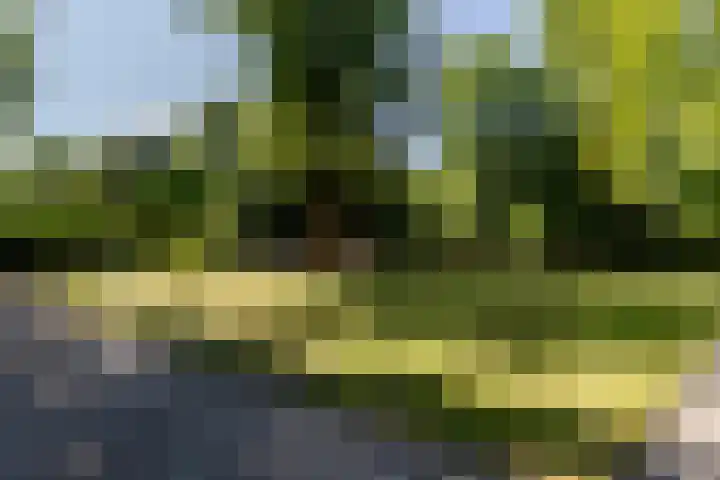 Uilenpad 5 Haaren thumbnail 28