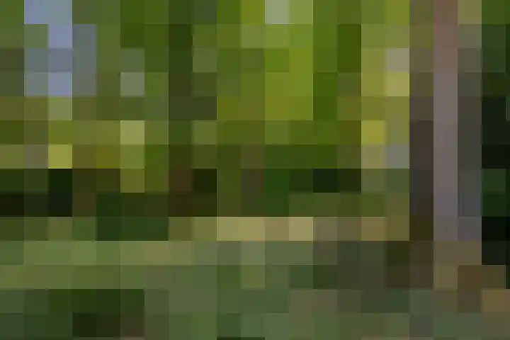 Uilenpad 5 Haaren thumbnail 29