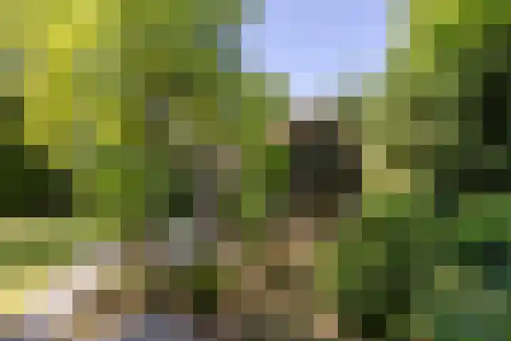 Uilenpad 5 Haaren thumbnail 30