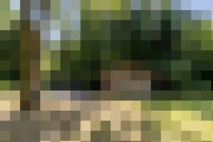 Uilenpad 5 Haaren thumbnail 31
