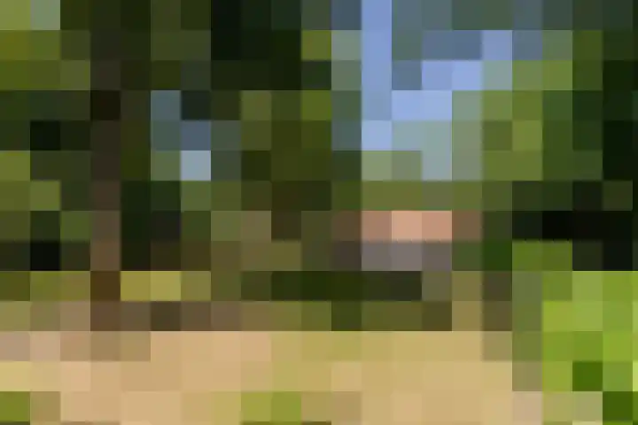 Uilenpad 5 Haaren thumbnail 32