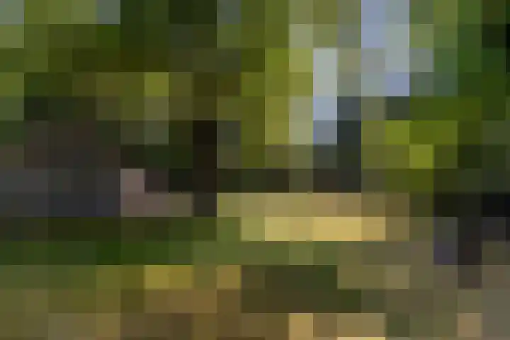 Uilenpad 5 Haaren thumbnail 33