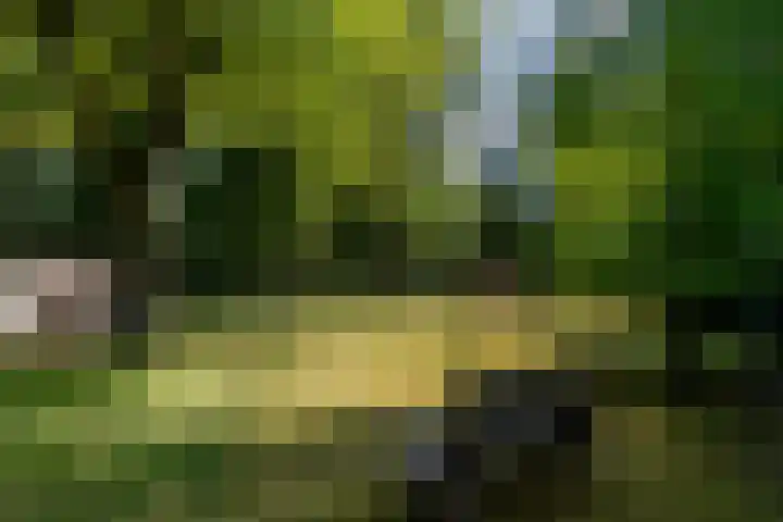 Uilenpad 5 Haaren thumbnail 34