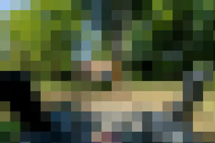 Uilenpad 5 Haaren thumbnail 35