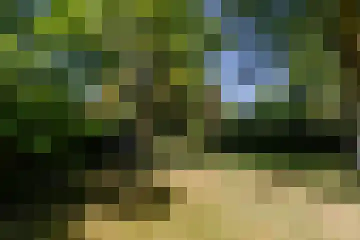Uilenpad 5 Haaren thumbnail 36