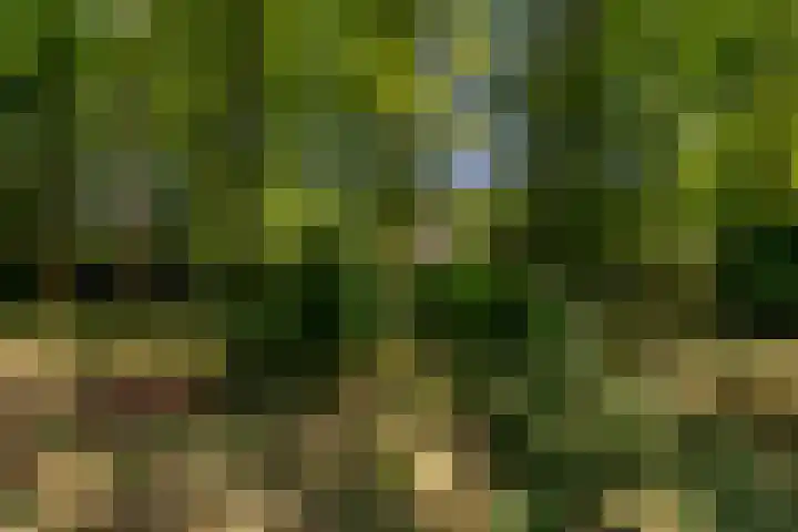 Uilenpad 5 Haaren thumbnail 37
