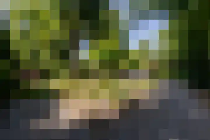 Uilenpad 5 Haaren thumbnail 38