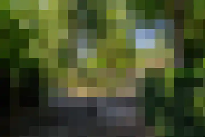 Uilenpad 5 Haaren thumbnail 39