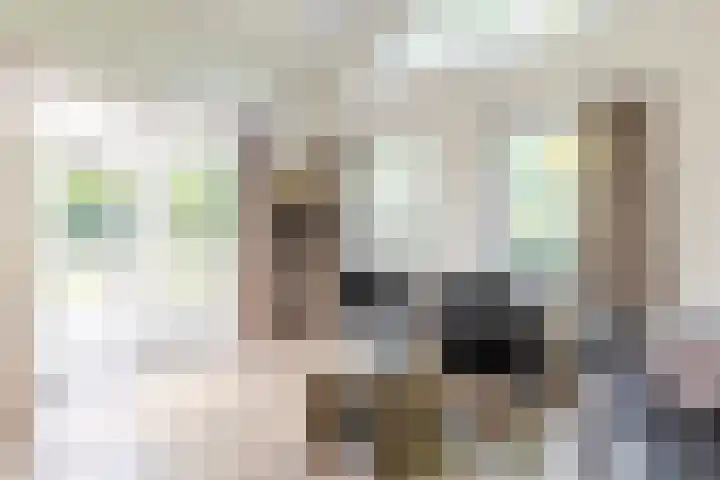 Uilenpad 5 Haaren thumbnail 4