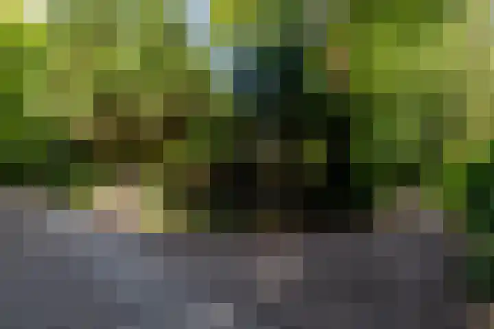 Uilenpad 5 Haaren thumbnail 40