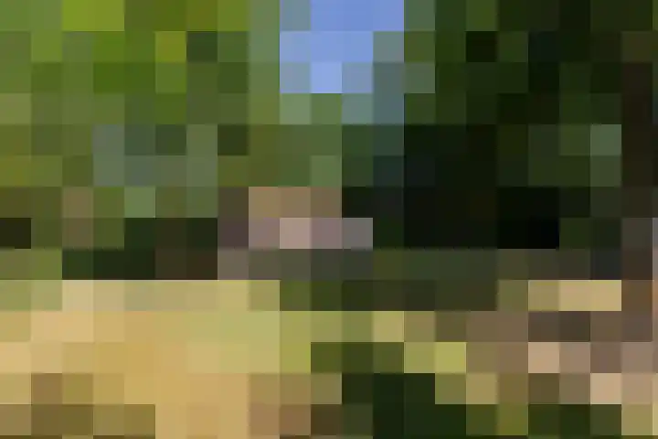 Uilenpad 5 Haaren thumbnail 41