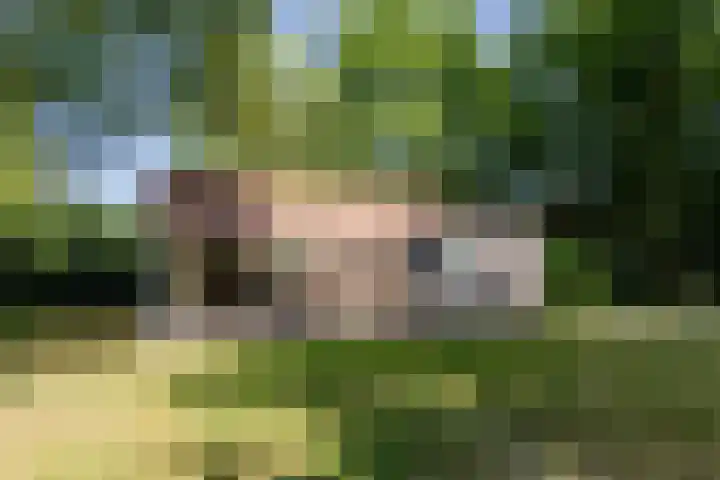Uilenpad 5 Haaren thumbnail 42