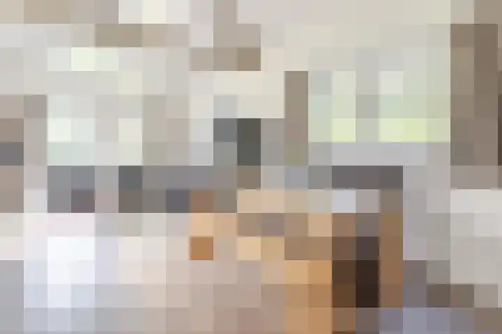 Uilenpad 5 Haaren thumbnail 6