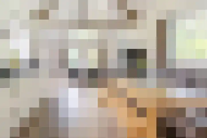 Uilenpad 5 Haaren thumbnail 7