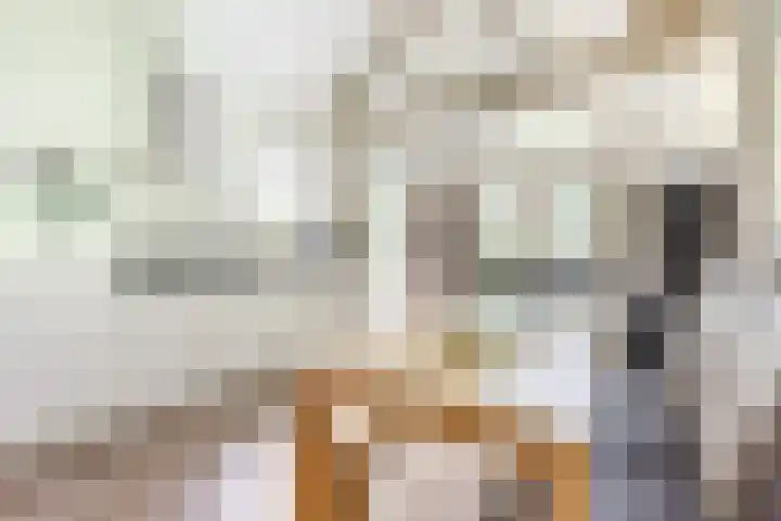 Uilenpad 5 Haaren thumbnail 9