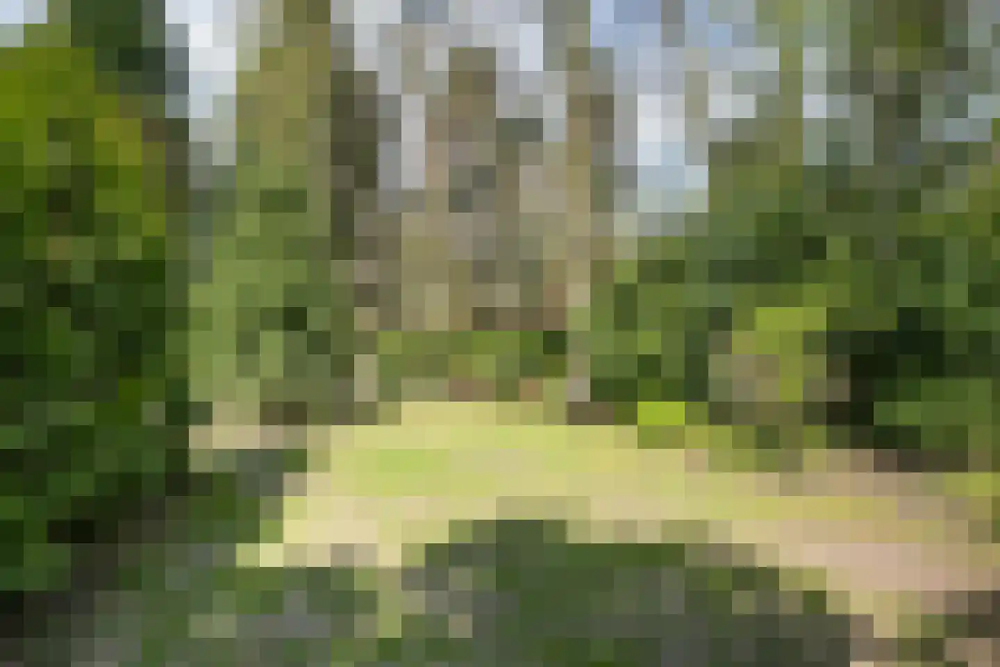 Uilenpad Haaren