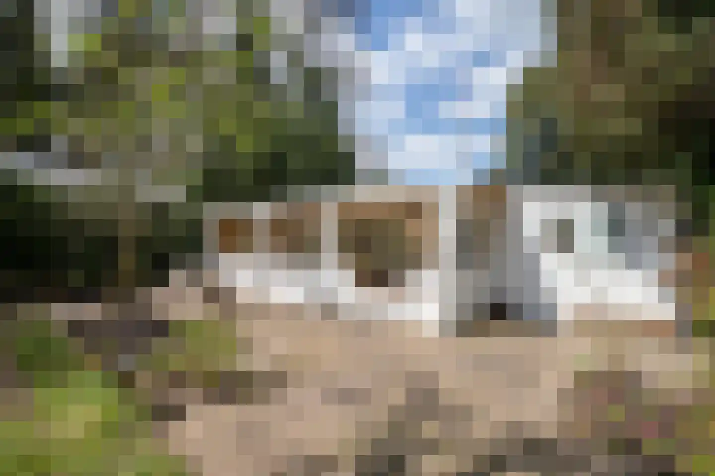 Uilenpad Haaren thumbnail 10