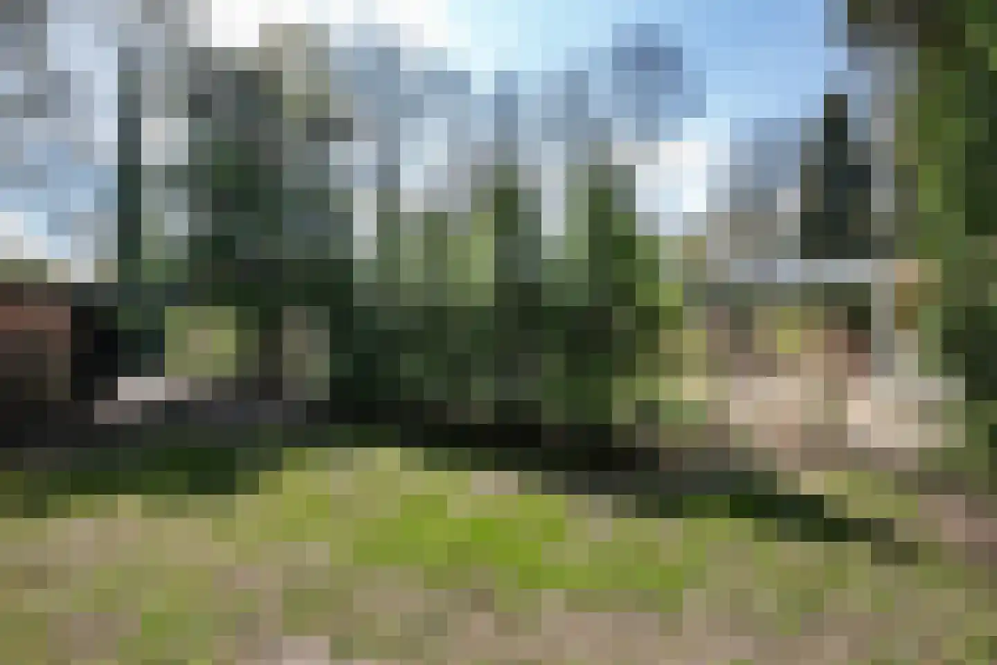 Uilenpad Haaren thumbnail 13