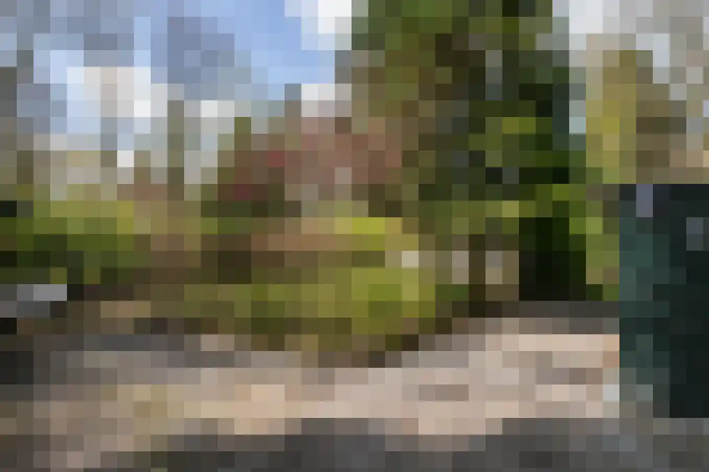 Uilenpad Haaren thumbnail 15