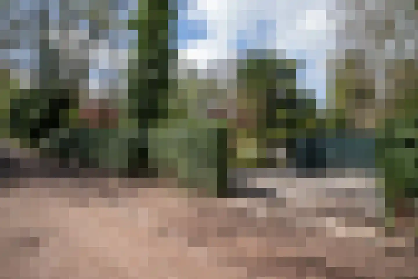 Uilenpad Haaren thumbnail 16
