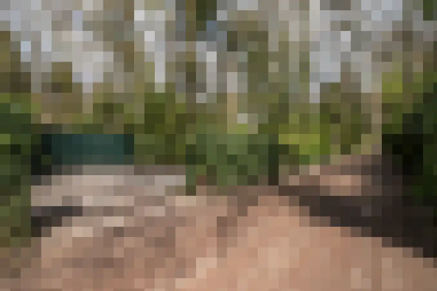 Uilenpad Haaren thumbnail 17