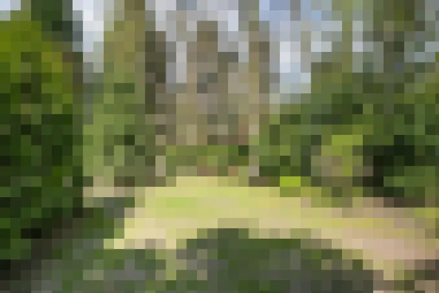 Uilenpad Haaren foto 2