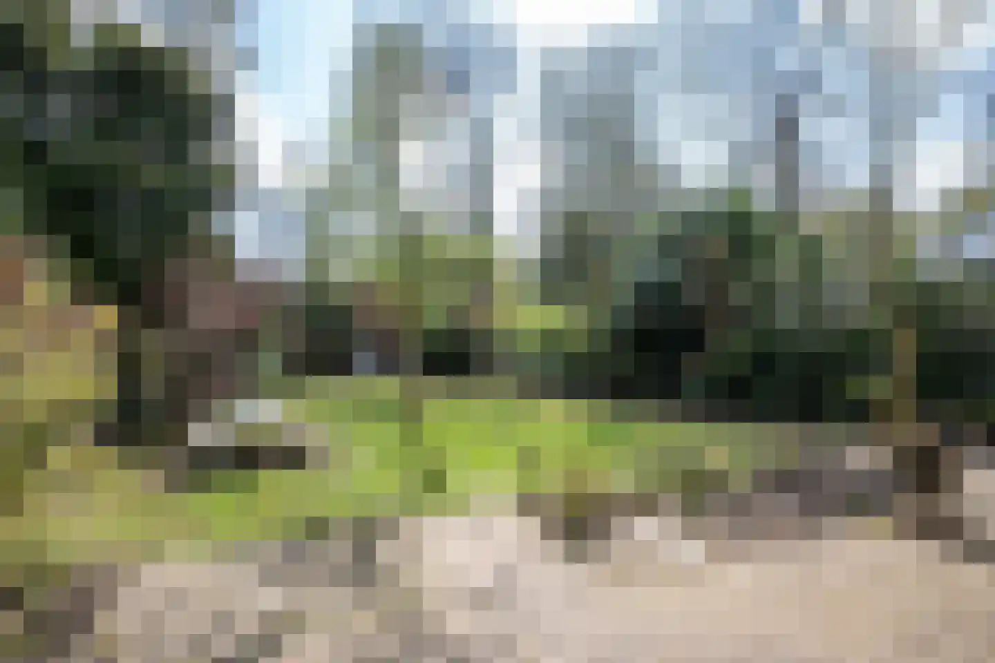 Uilenpad Haaren thumbnail 5