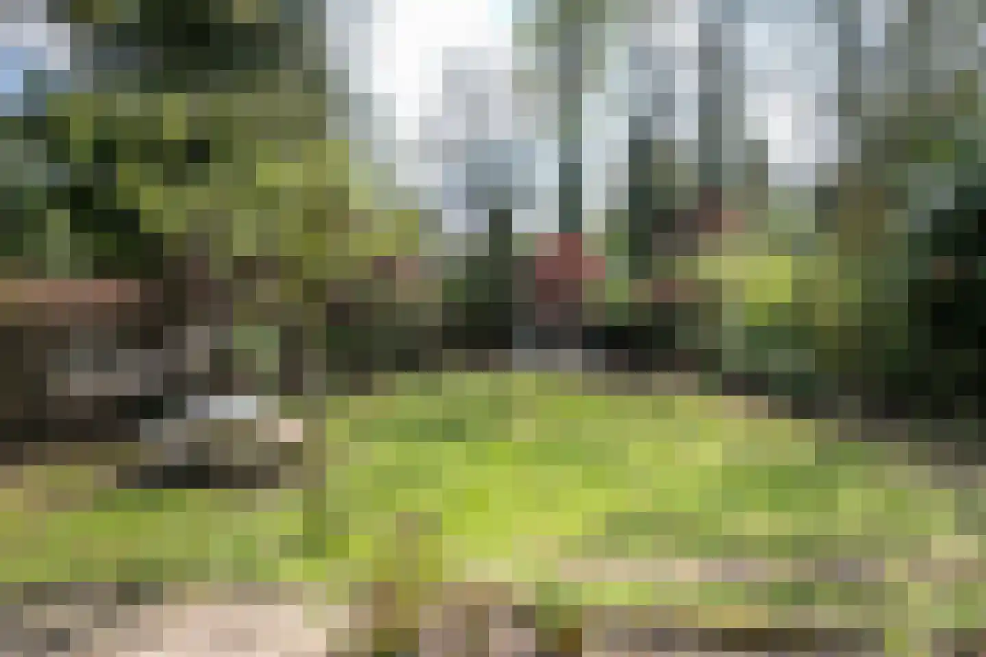 Uilenpad Haaren thumbnail 7