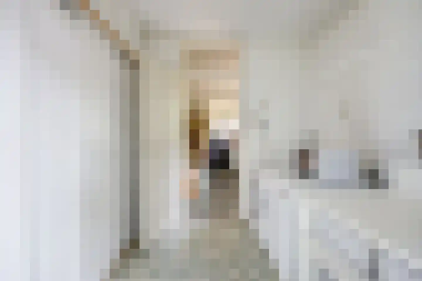 Uilenspiegelstraat 19 Bosschenhoofd thumbnail 19
