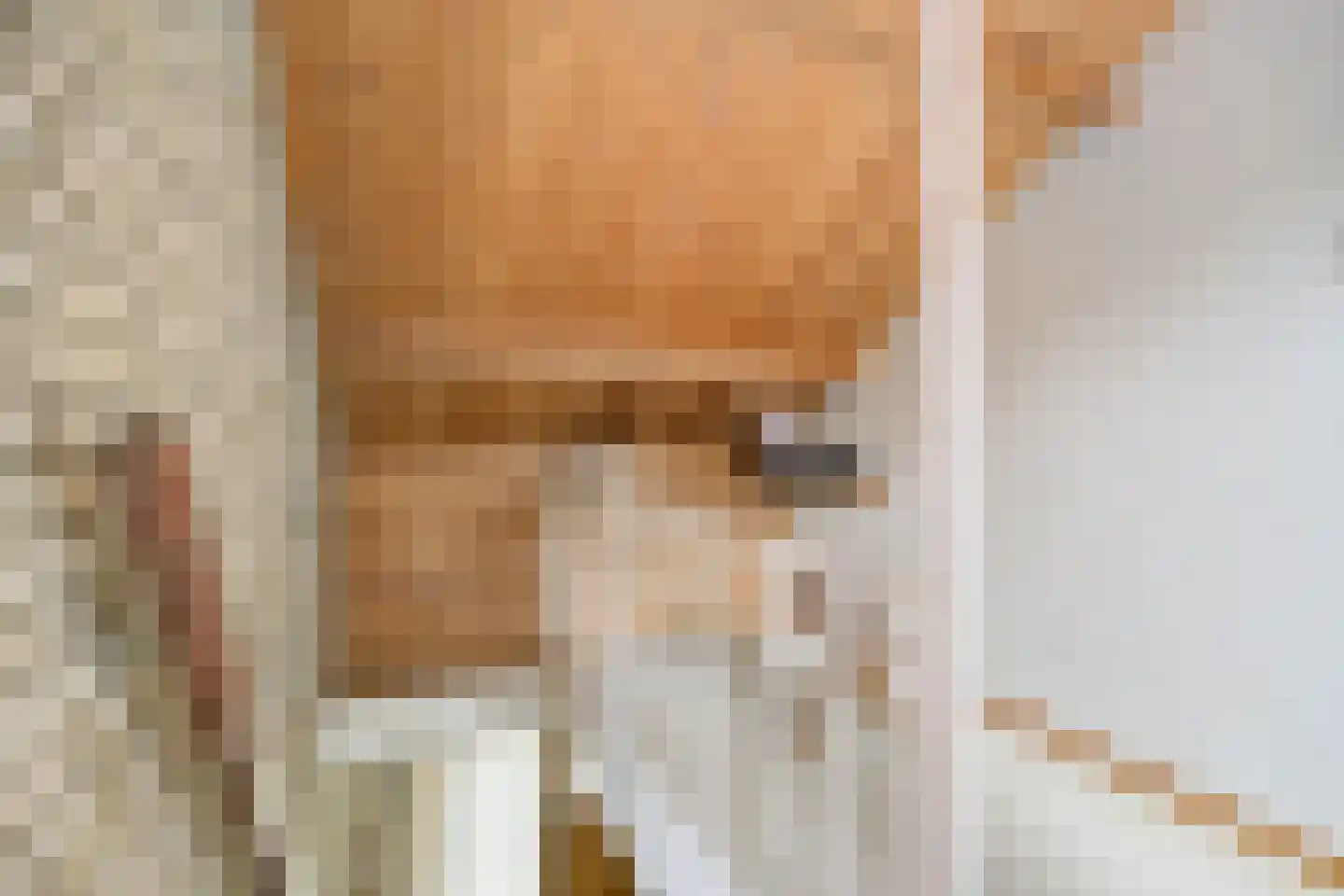 Uilenspiegelstraat 19 Bosschenhoofd thumbnail 26