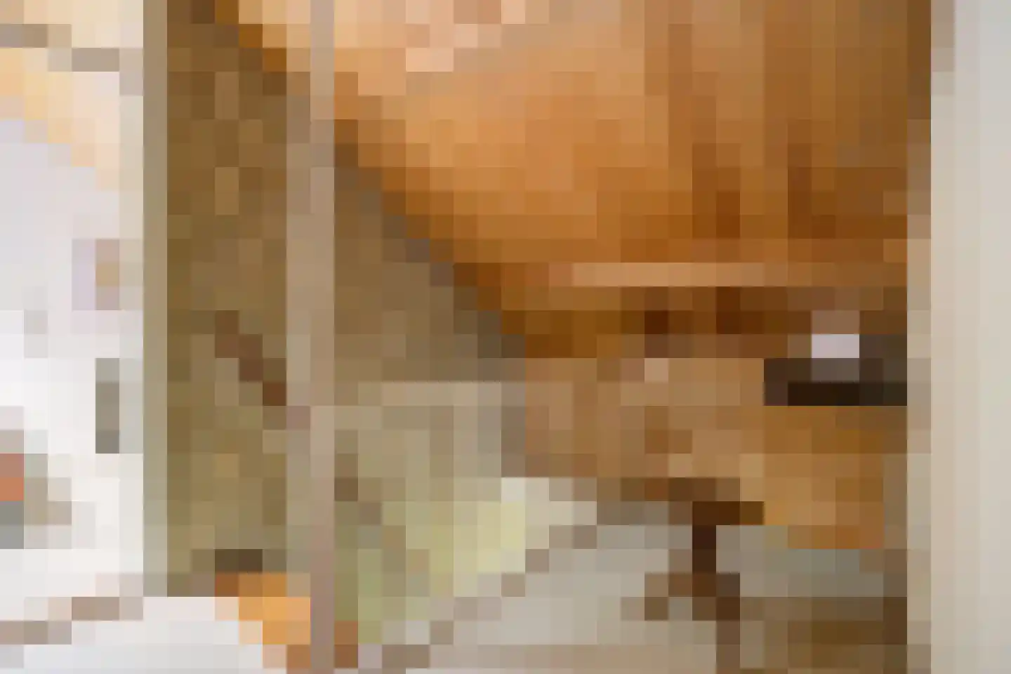 Uilenspiegelstraat 19 Bosschenhoofd thumbnail 27