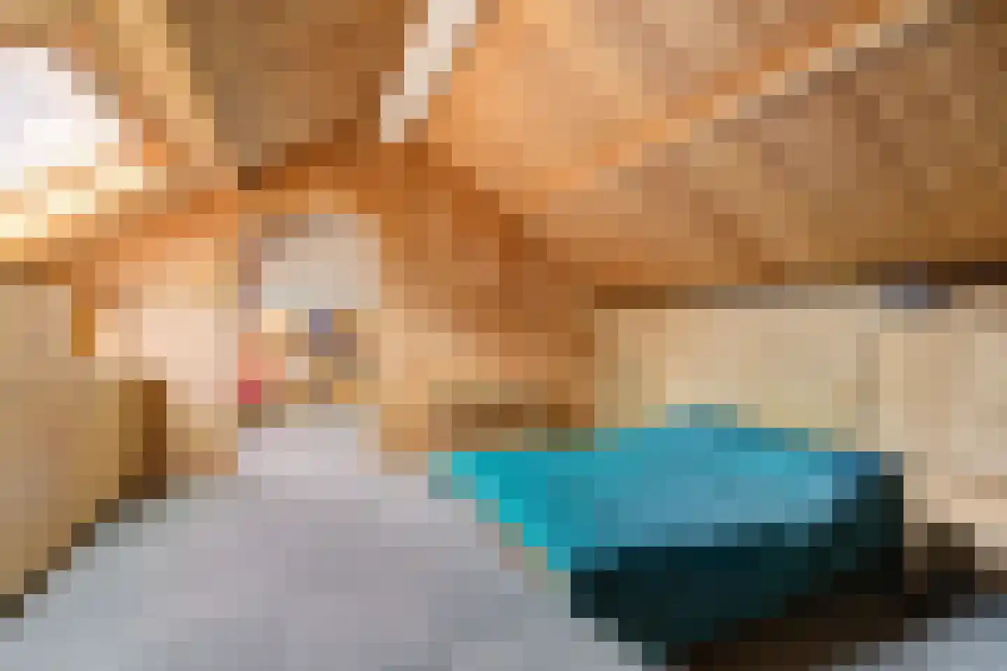 Uilenspiegelstraat 19 Bosschenhoofd thumbnail 30