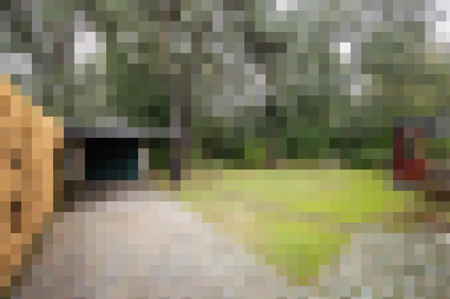 Uilenspiegelstraat 19 Bosschenhoofd thumbnail 34