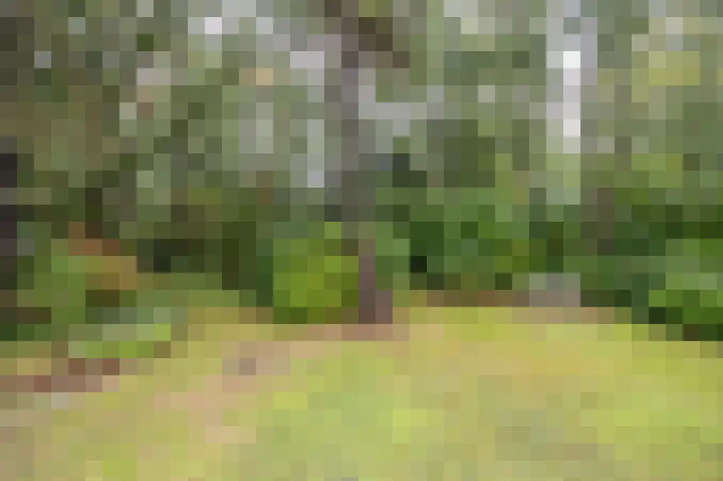 Uilenspiegelstraat 19 Bosschenhoofd thumbnail 36